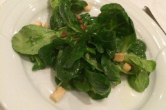 20160115_HHS-Gross-Gerau_Gansessen_0034