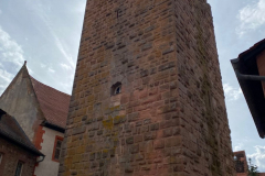 c1d5623c-75dd-420c-837d-d1bcc7bf4a44